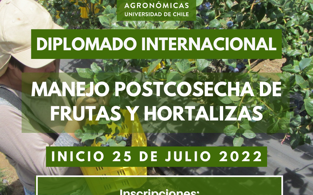 DIPLOMADO INTERNACIONAL EN MANEJO POSTCOSECHA DE FRUTAS Y HORTALIZAS