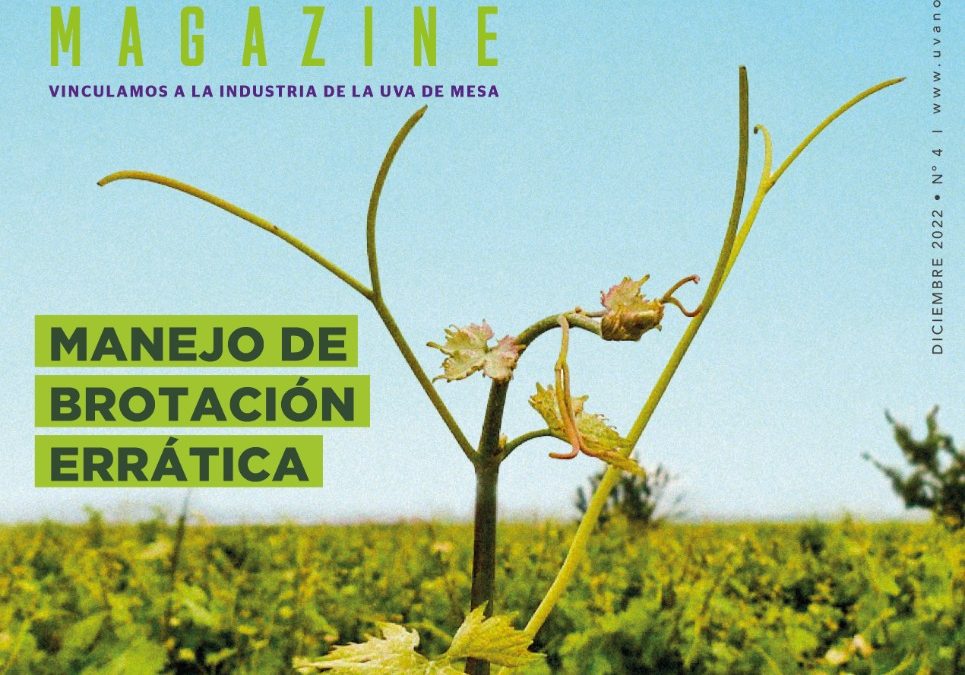 UVANOVA MAGAZINE N°4 PORTADA: Manejo de Brotación Errática