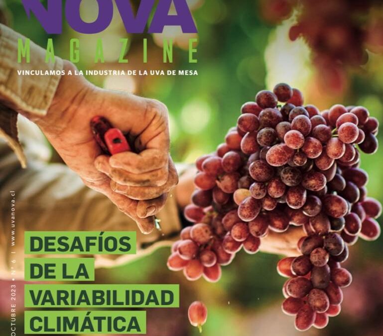 EDICIÓN N° 6 DE UVANOVA MAGAZINE.