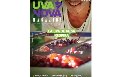 EDICIÓN N° 9 DE UVANOVA MAGAZINE: LA UVA DE MESA RESPIRA