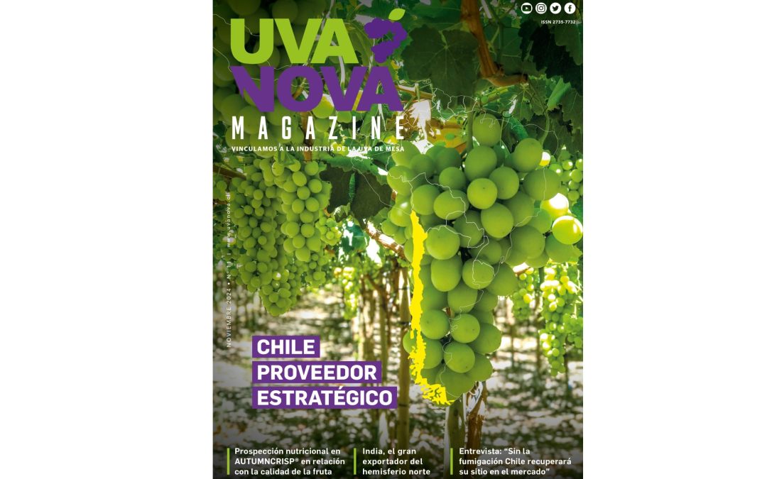 Uvanova Magazine Edición N° 11